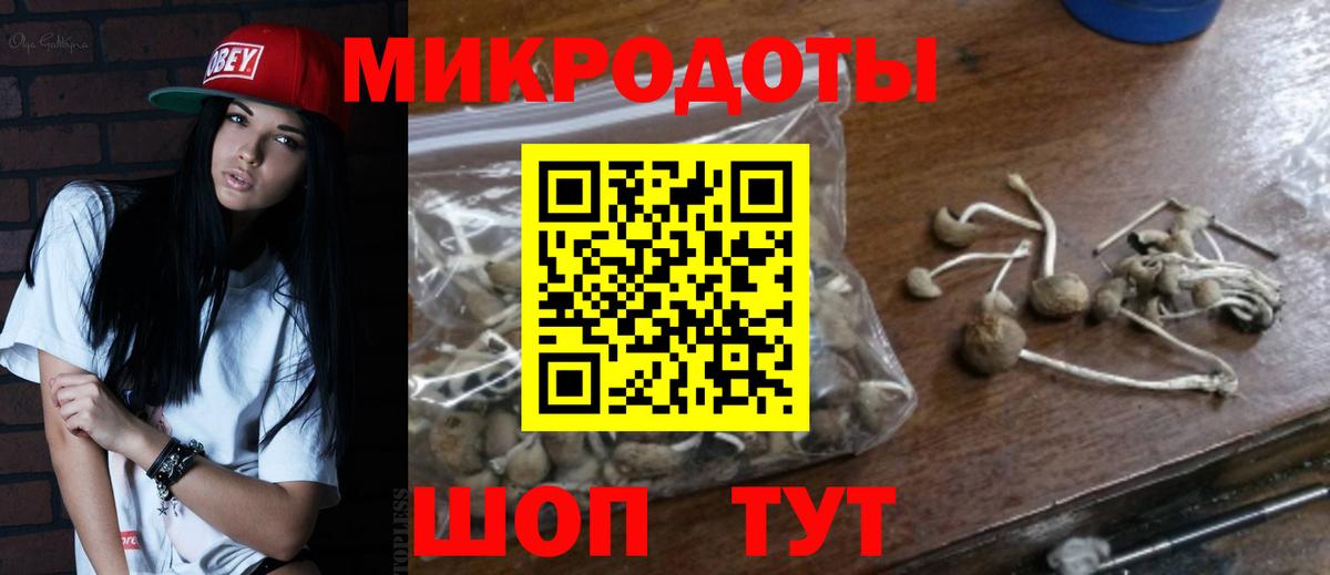 Псилоцибиновые грибы GOLDEN TEACHER  Псилоцибиновые грибы Cubensis  Вход с VPN  Борзя 